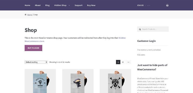 Качественная тема WordPress с поддержкой плагина онлайн-магазина WooCommerce: как выбрать лучшее решение для вашего интернет-магазина